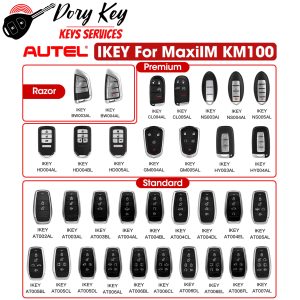 MaxiIM KM100 IKEY key fobs